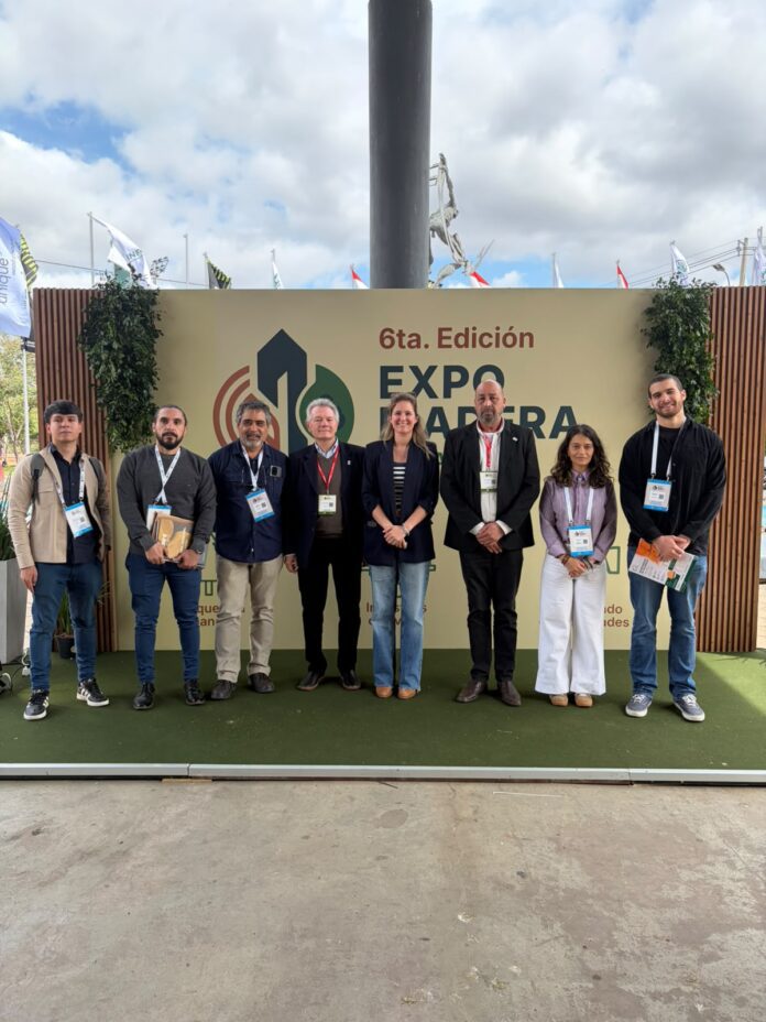 Empresas formoseñas en la Expo Madera Paraguay (2)